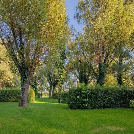 Balaton