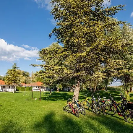 Balaton Apartman *